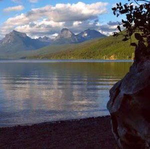 Meet your Posher, Sunny and niki